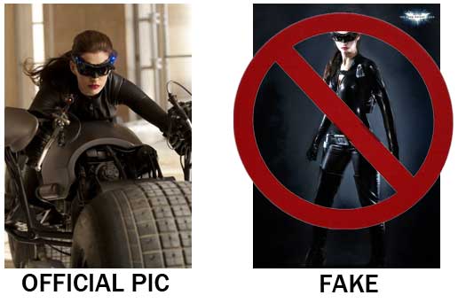 Fake catwoman costume and the official release from warner brothers anne