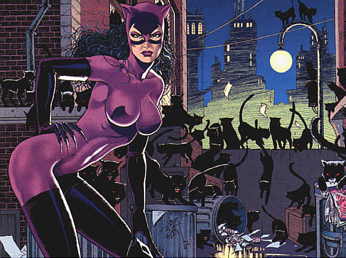 Catwoman Skins for Catwoman in Arkham City The Sexy Jim Balent Costume is 